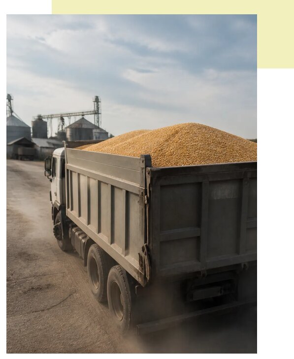 Перевозка сельхозпродукции навалом в Кинешму по цене от 3032 р. | Агросервис-Кнш